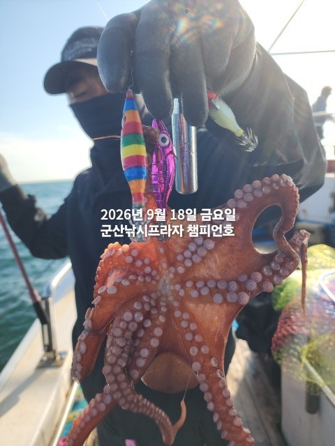 9월 18일 문어 선상낚시 조황 현장 사진 9
