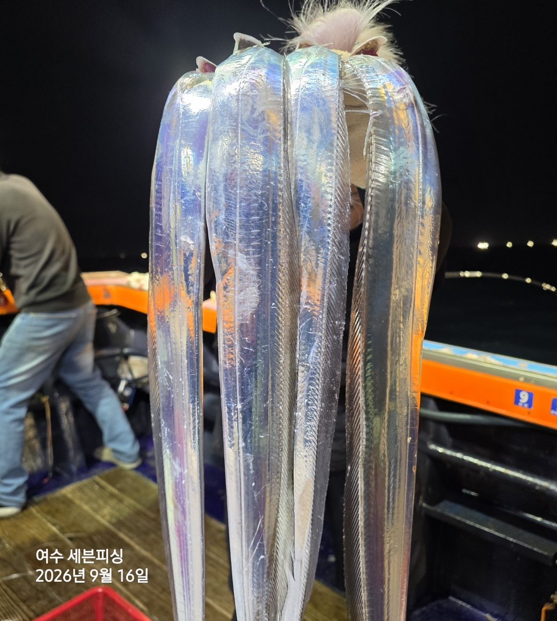 9월 16일 여수 갈치 선상낚시 조황 현장 사진 7