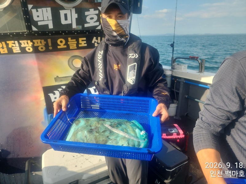 9월 18일 인천 갑오징어 선상낚시 조황 현장 사진 15