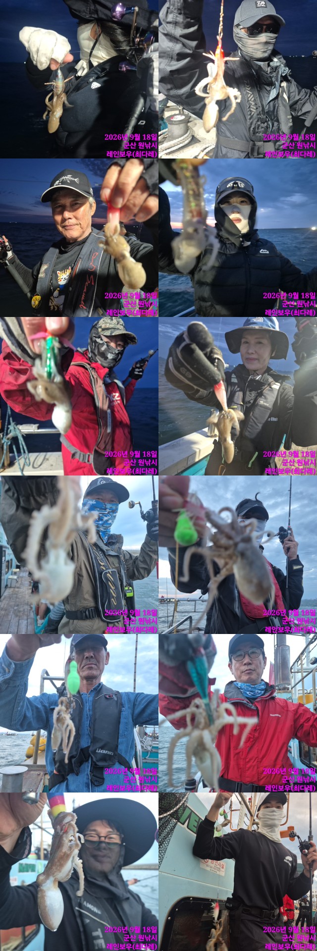 9월 18일 군산 주꾸미 선상낚시 조황 현장 사진 5