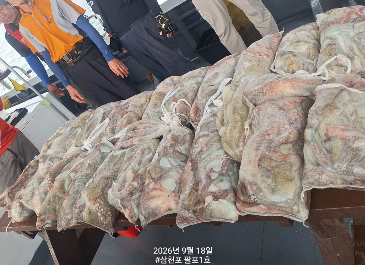 9월 18일 삼천포 문어 선상낚시 조황 현장 사진 27