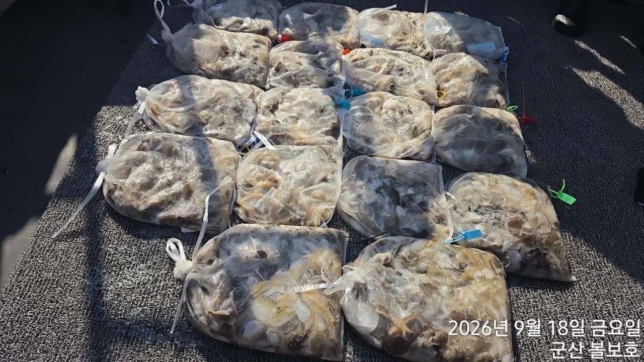9월 18일 군산 주꾸미 선상낚시 조황 현장 사진 3