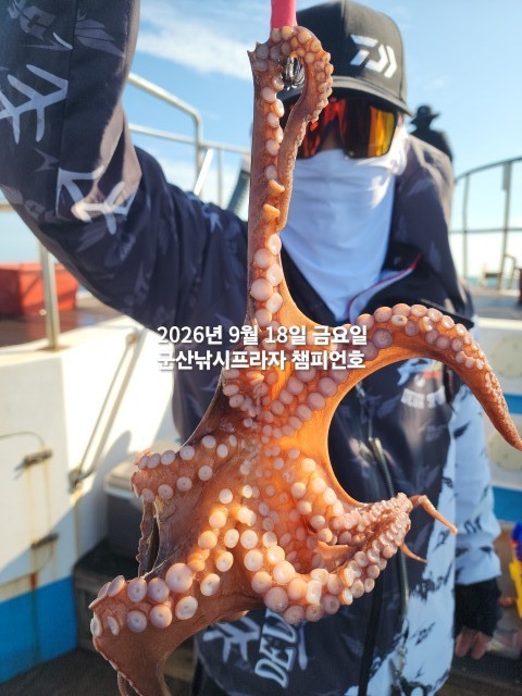 9월 18일 문어 선상낚시 조황 현장 사진 5