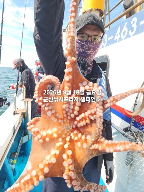 9월 18일 문어 선상낚시 조황 현장 사진 3