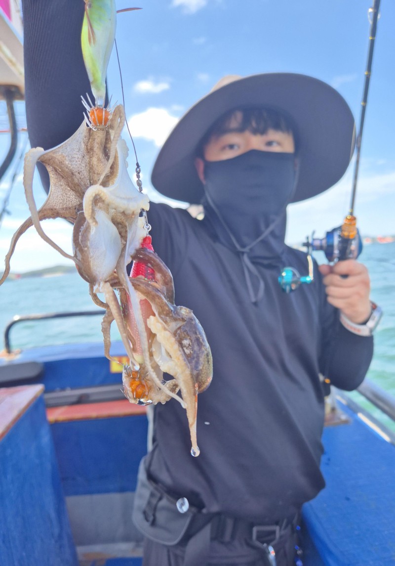 9월 18일 갑오징어 선상낚시 조황 현장 사진 8