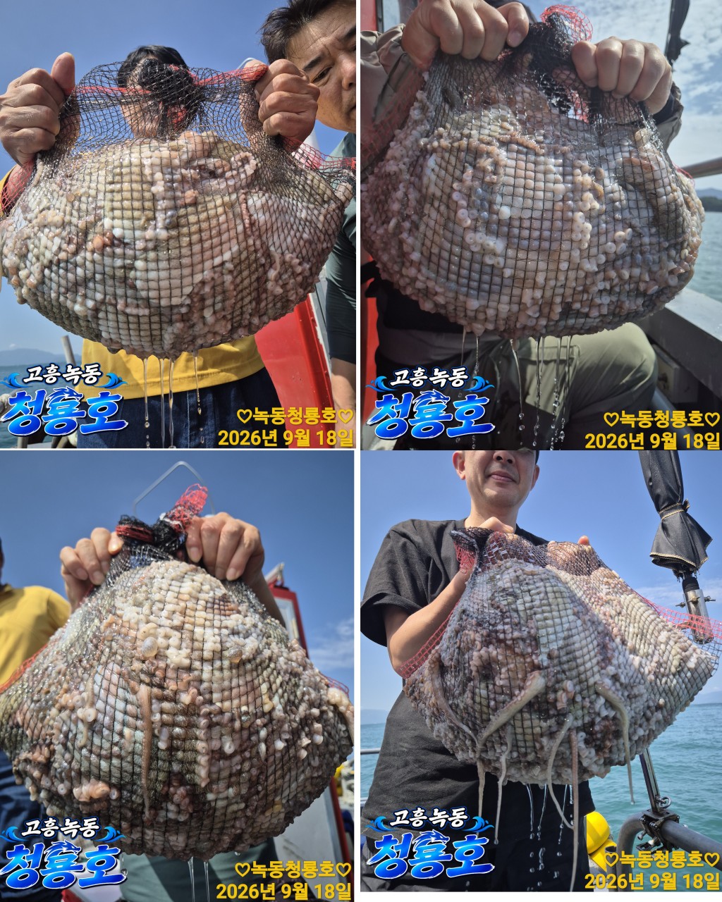 9월 18일 문어 선상낚시 조황 현장 사진 2