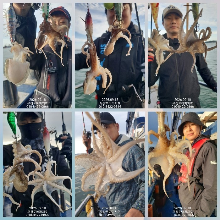 9월 18일 포항 주꾸미 선상낚시 조황 현장 사진 4