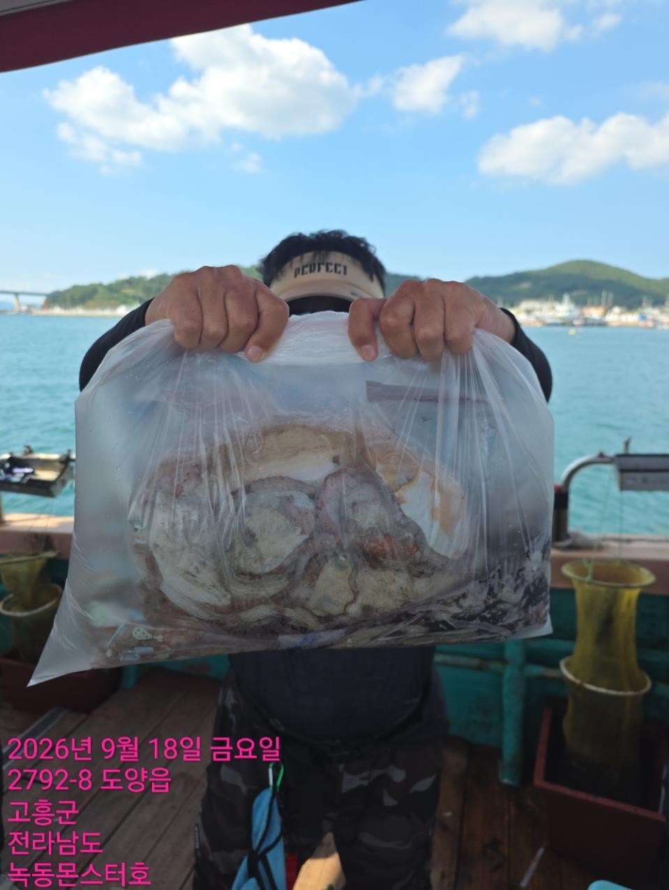 9월 18일 통영 문어 선상낚시 조황 현장 사진 7
