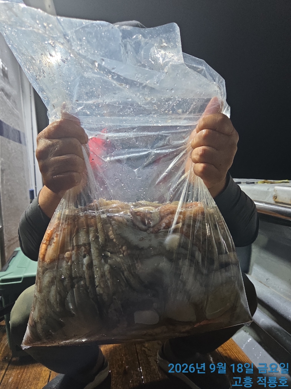 9월 18일 문어 선상낚시 조황 현장 사진 5