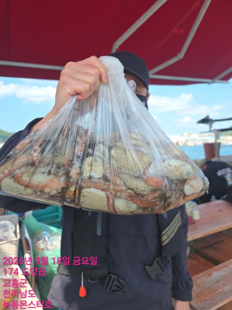9월 18일 통영 문어 선상낚시 조황 현장 사진 15