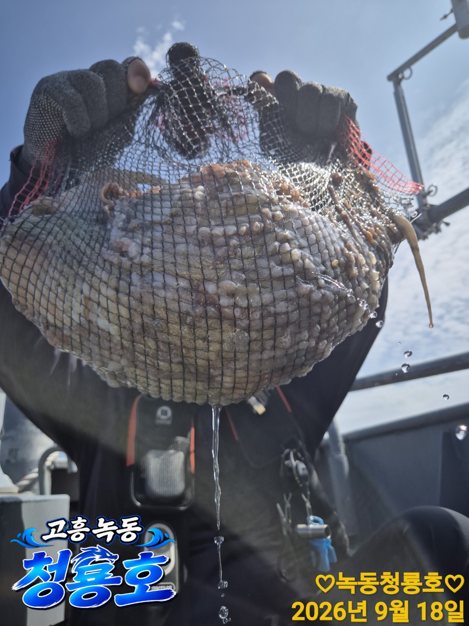 9월 18일 문어 선상낚시 조황 현장 사진 12