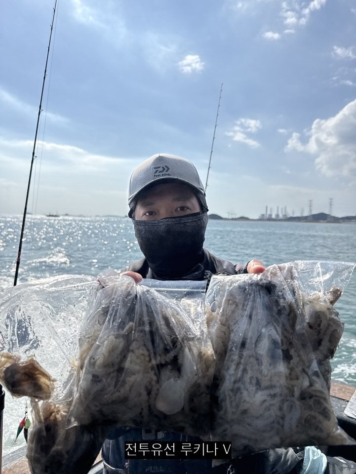 사용자가 올린 이미지