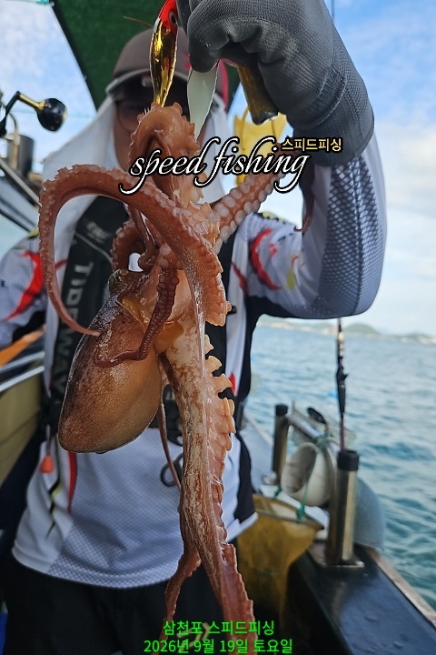 9월 19일 삼천포 문어 선상낚시 조황 현장 사진 13