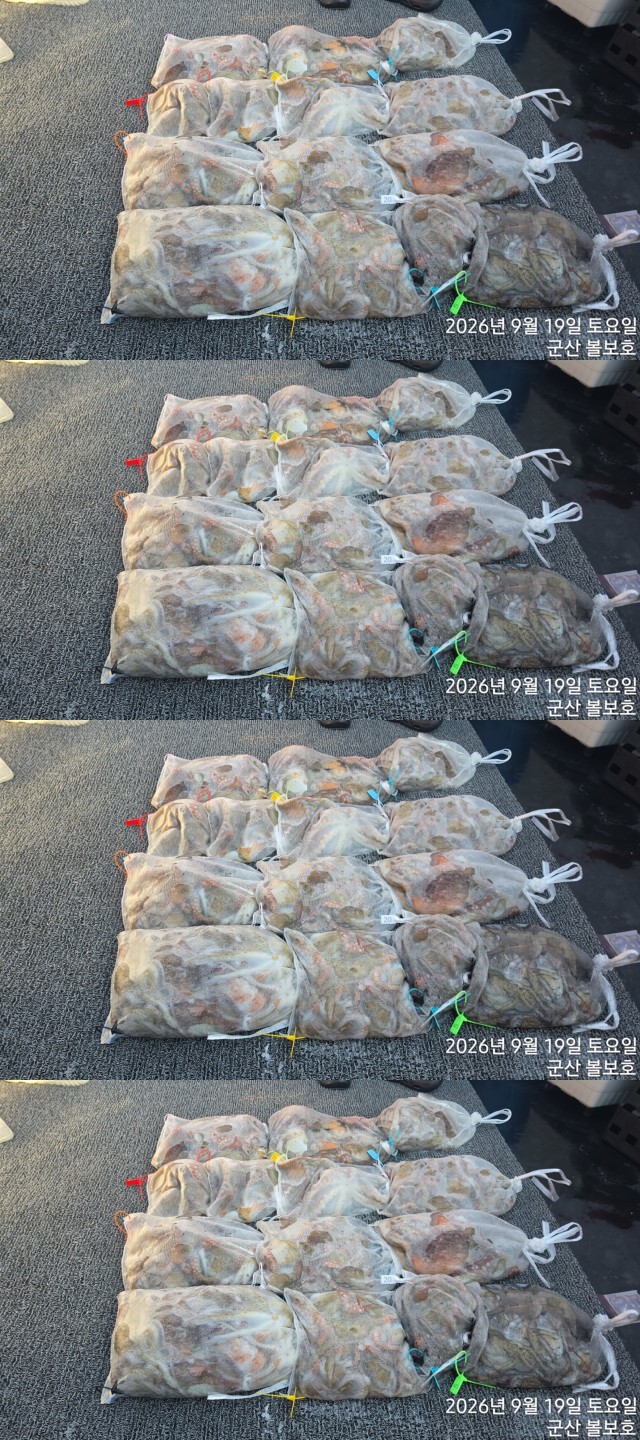 9월 19일 군산 주꾸미 선상낚시 조황 현장 사진 1