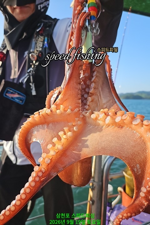9월 19일 삼천포 문어 선상낚시 조황 현장 사진 10