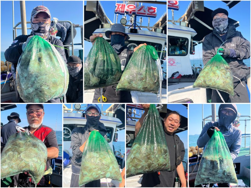 9월 19일 인천 갑오징어 선상낚시 조황 현장 사진 21