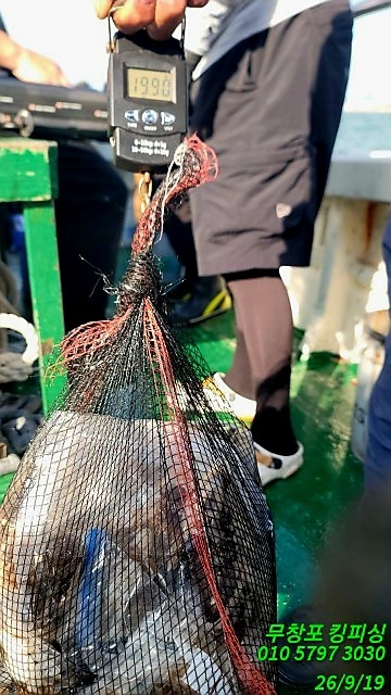 9월 19일 선상낚시 조황 현장 사진 6