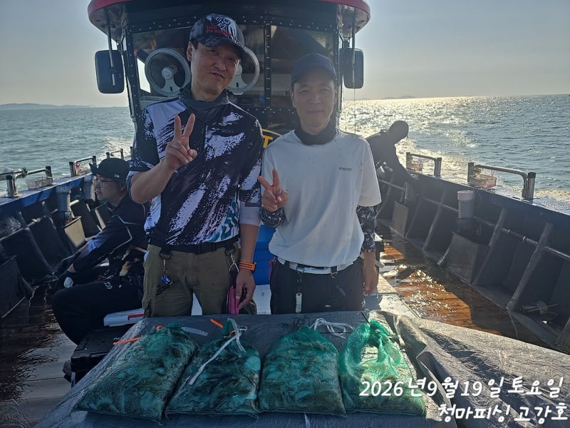 9월 19일 인천 갑오징어 선상낚시 조황 현장 사진 14