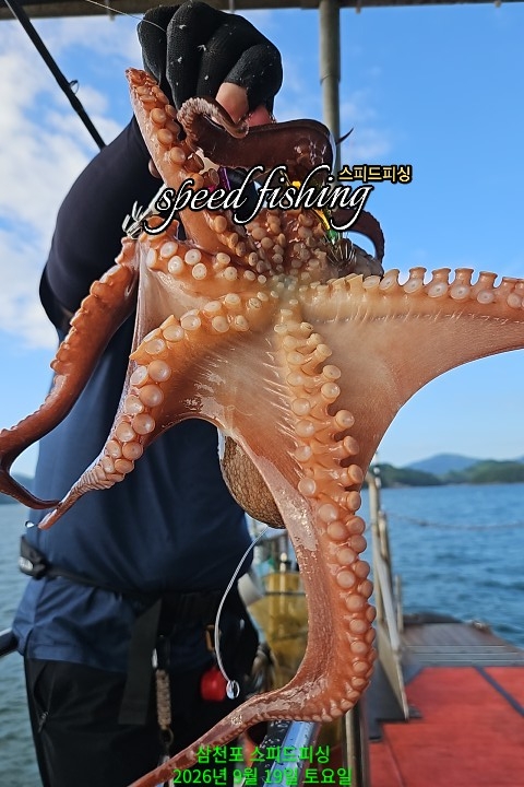 9월 19일 삼천포 문어 선상낚시 조황 현장 사진 9