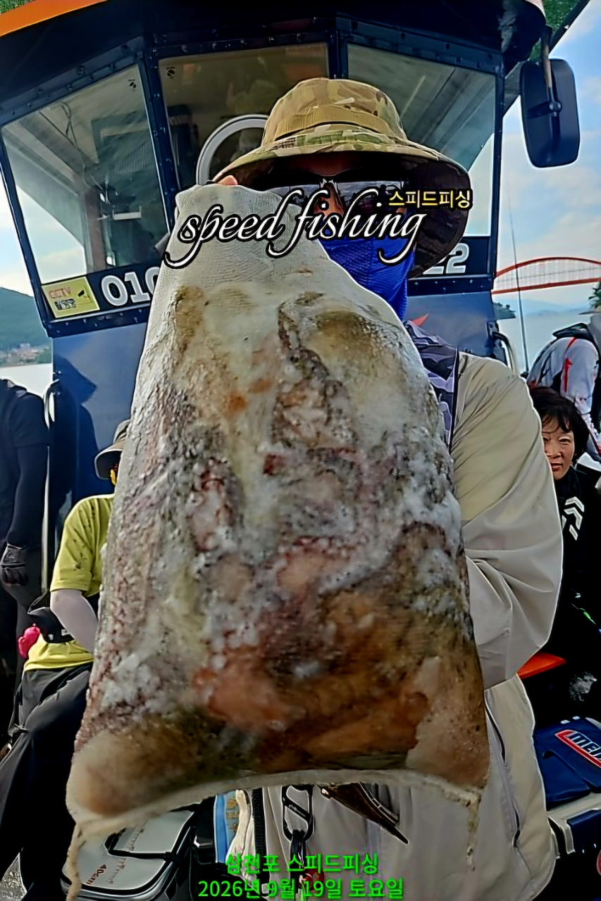 9월 19일 삼천포 문어 선상낚시 조황 현장 사진 5