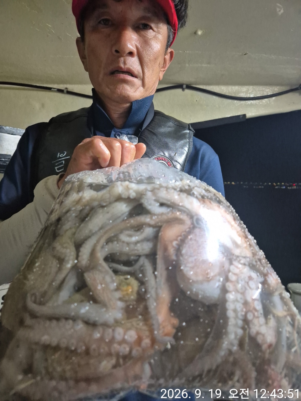 9월 19일 문어 선상낚시 조황 현장 사진 27