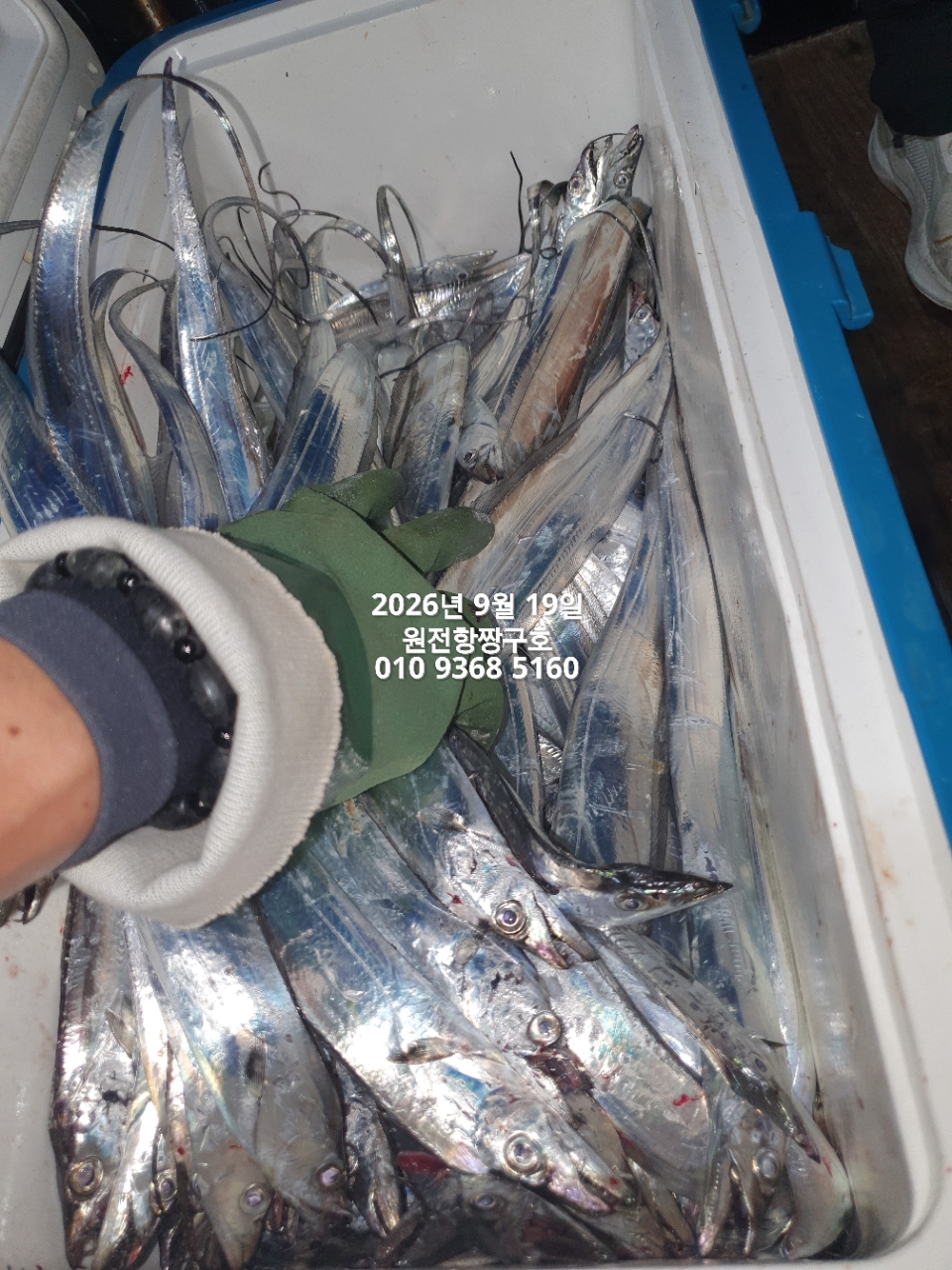 9월 20일 갈치 선상낚시 조황 현장 사진 13