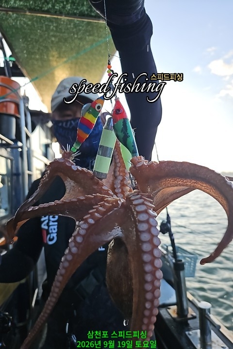 9월 19일 삼천포 문어 선상낚시 조황 현장 사진 19