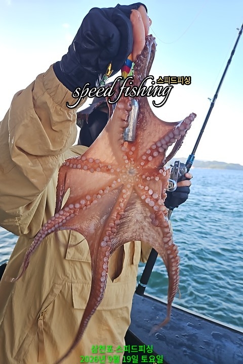 9월 19일 삼천포 문어 선상낚시 조황 현장 사진 16