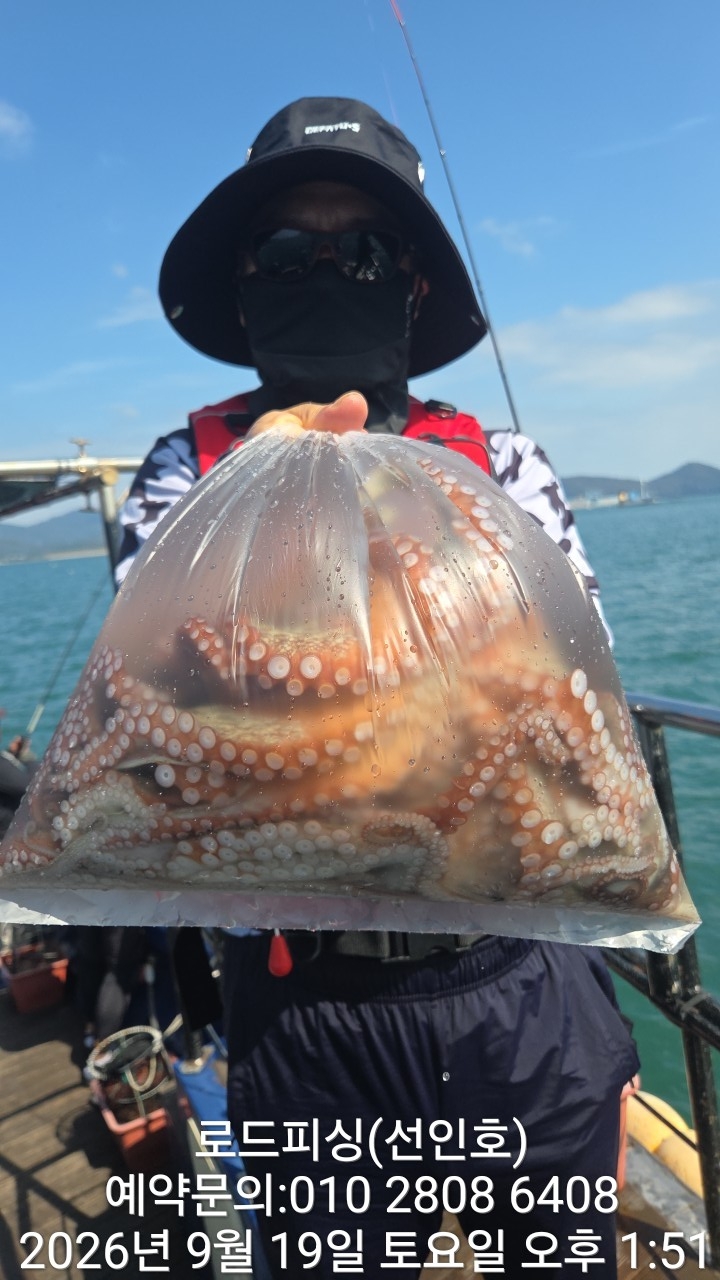 9월 19일 고성 문어 선상낚시 조황 현장 사진 7