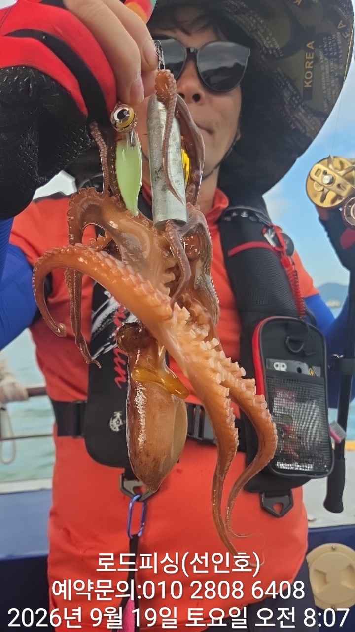 9월 19일 고성 문어 선상낚시 조황 현장 사진 2
