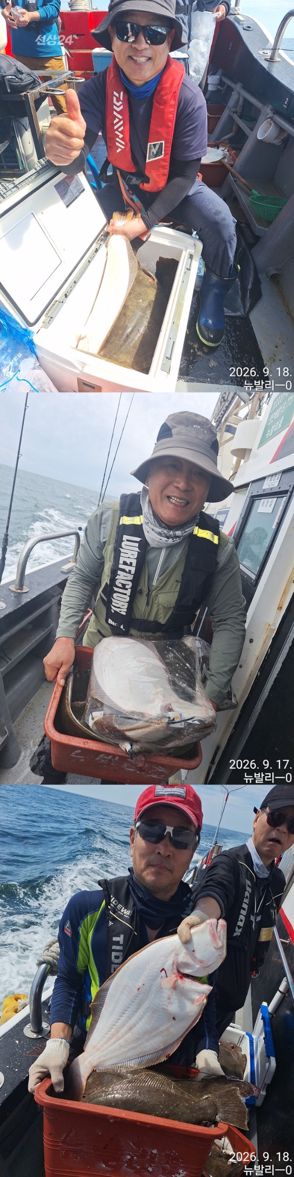 9월 19일 군산 갑오징어 선상낚시 조황 현장 사진 6