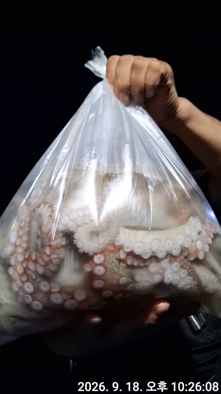 9월 19일 문어 선상낚시 조황 현장 사진 4