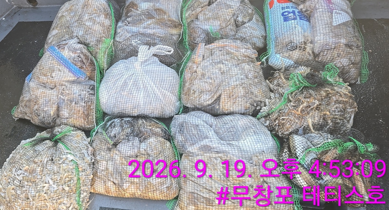 9월 19일 갑오징어 선상낚시 조황 현장 사진 3
