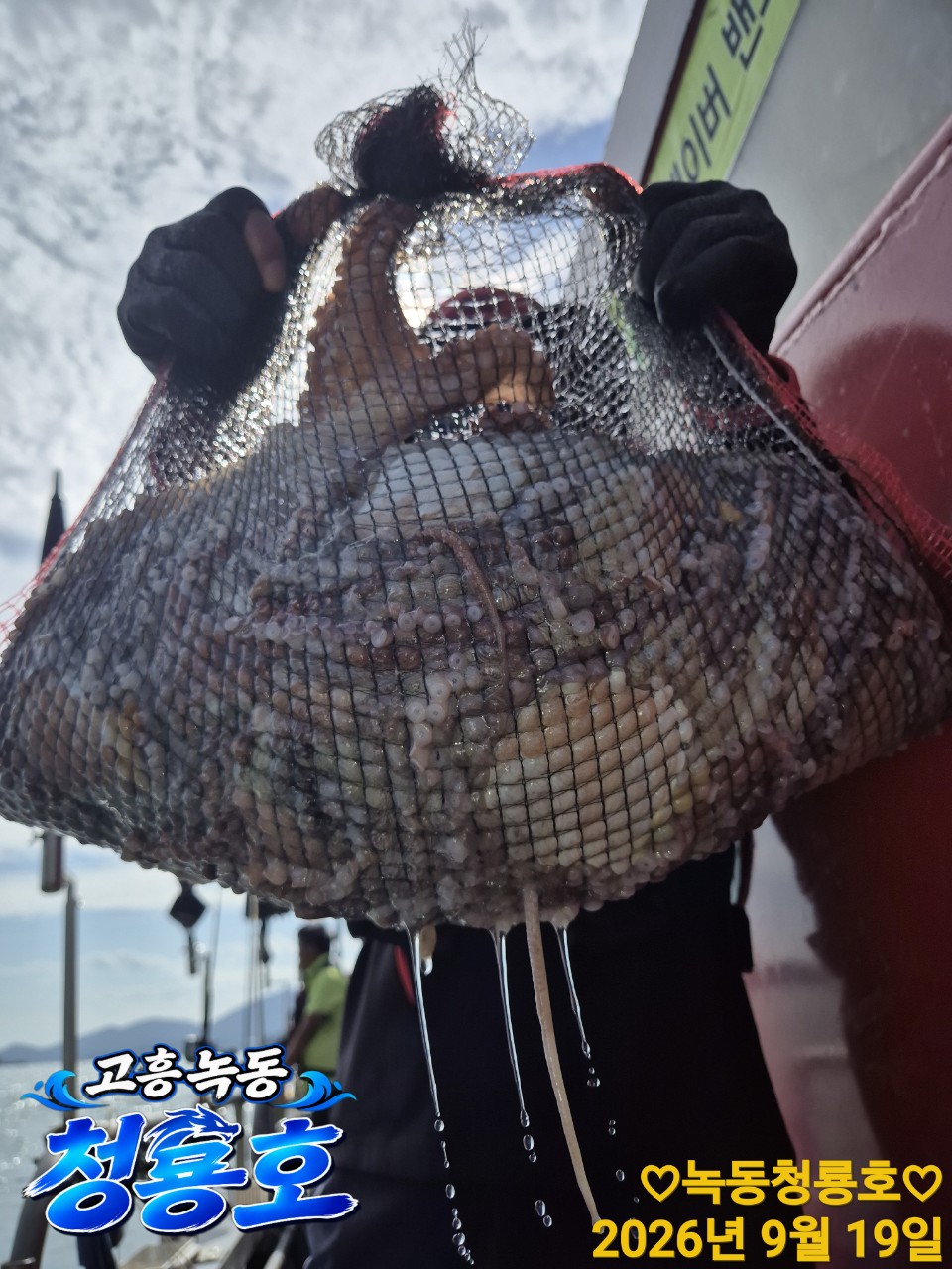 9월 19일 문어 선상낚시 조황 현장 사진 9