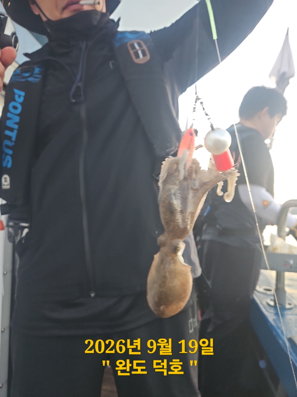 9월 19일 완도 주꾸미 선상낚시 조황 현장 사진 8