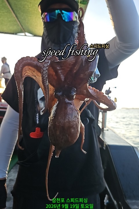 9월 19일 삼천포 문어 선상낚시 조황 현장 사진 14