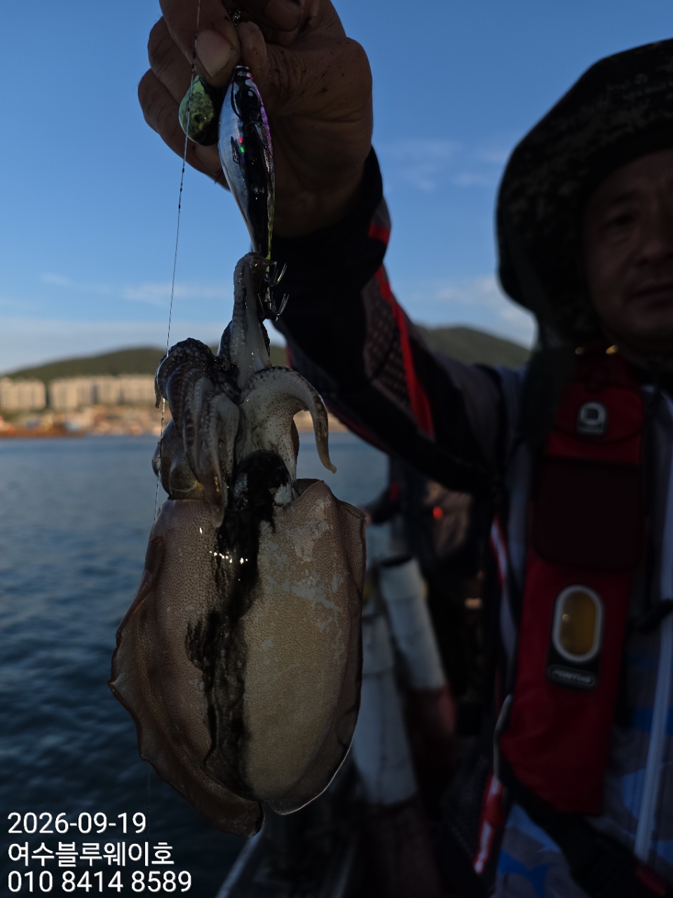 9월 19일 부산 갑오징어 선상낚시 조황 현장 사진 24