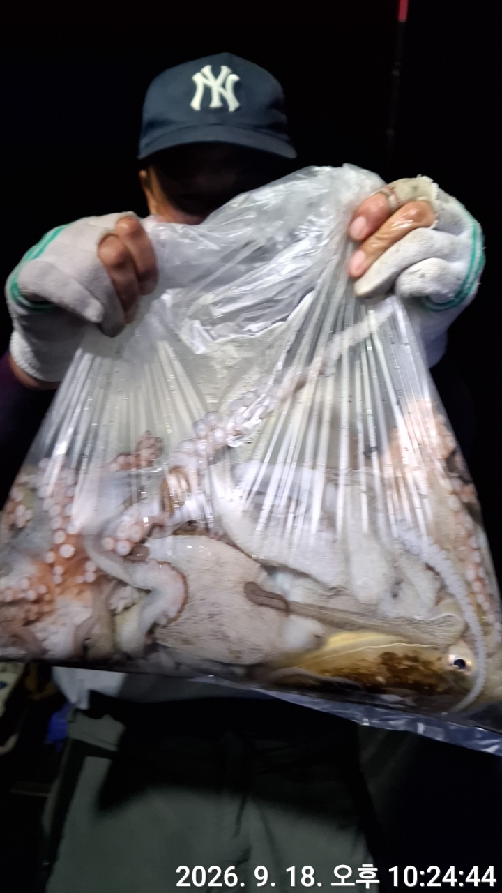 9월 19일 문어 선상낚시 조황 현장 사진 7
