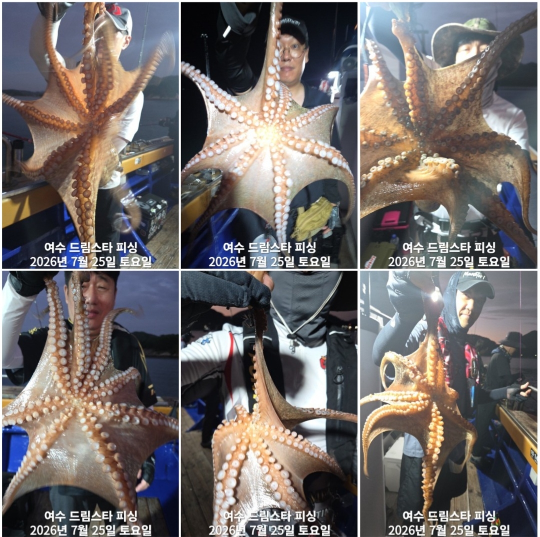 9월 19일 여수 문어 선상낚시 조황 현장 사진 4