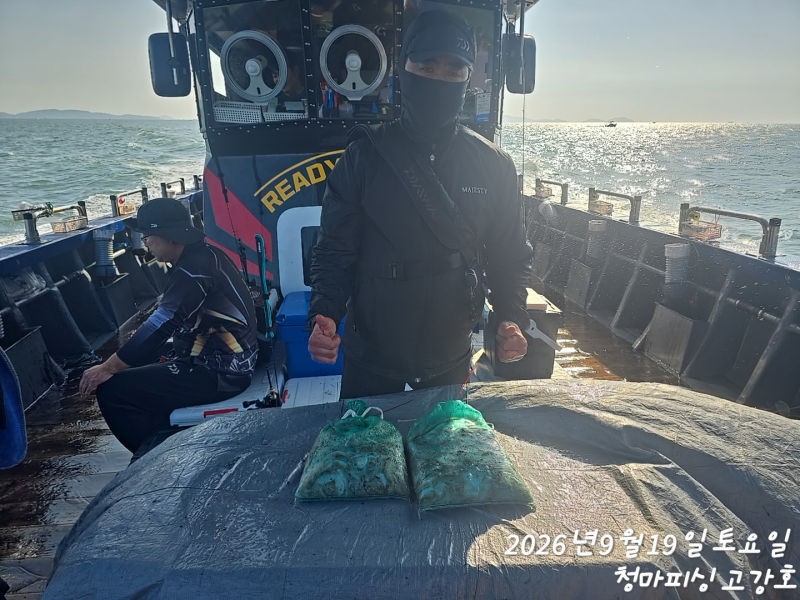 9월 19일 인천 갑오징어 선상낚시 조황 현장 사진 15
