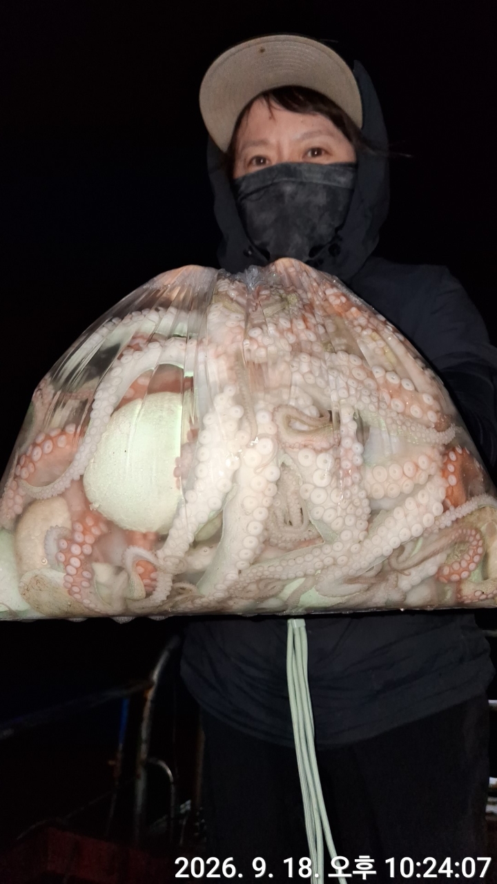 9월 19일 문어 선상낚시 조황 현장 사진 2