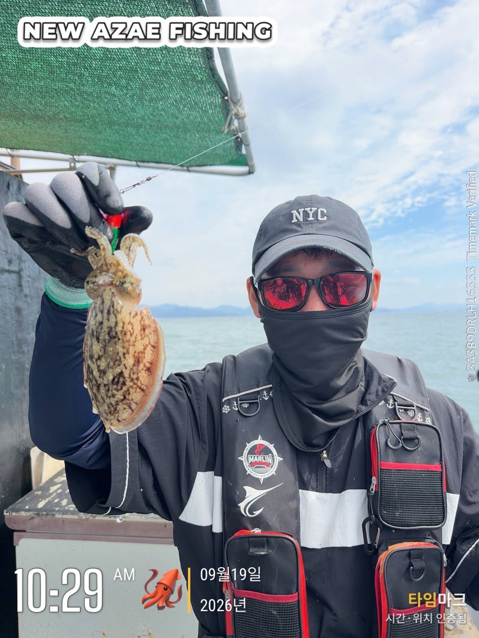 9월 19일 갑오징어 선상낚시 조황 현장 사진 15