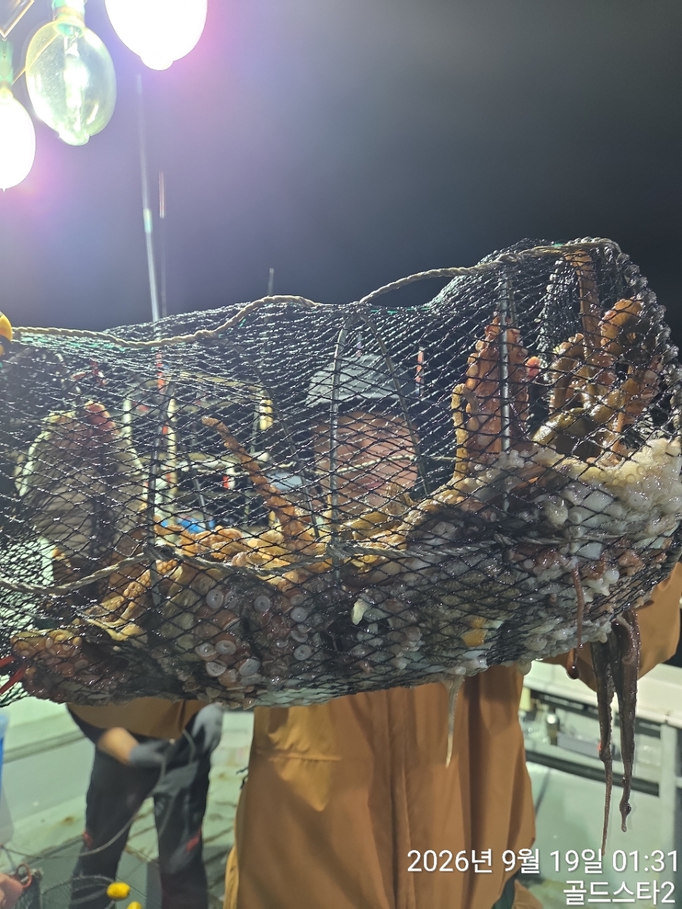9월 18일 여수 문어 선상낚시 조황 현장 사진 3