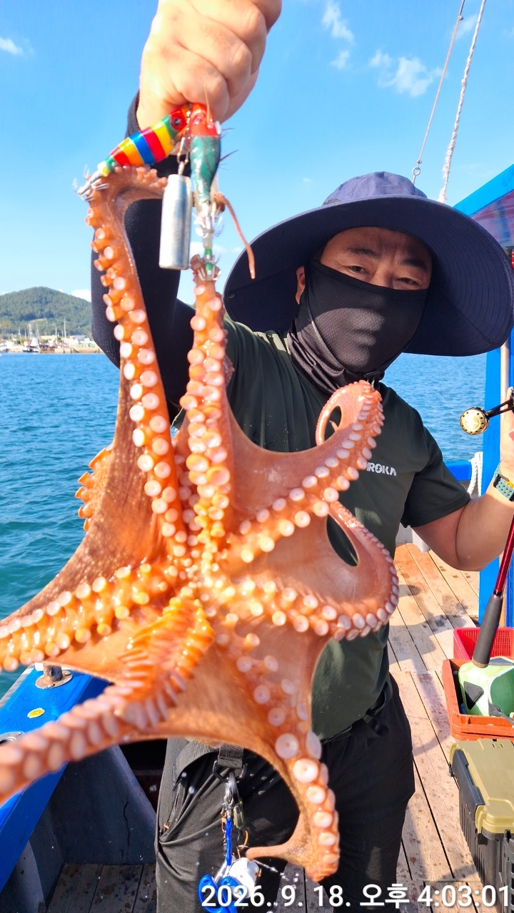 9월 19일 문어 선상낚시 조황 현장 사진 14
