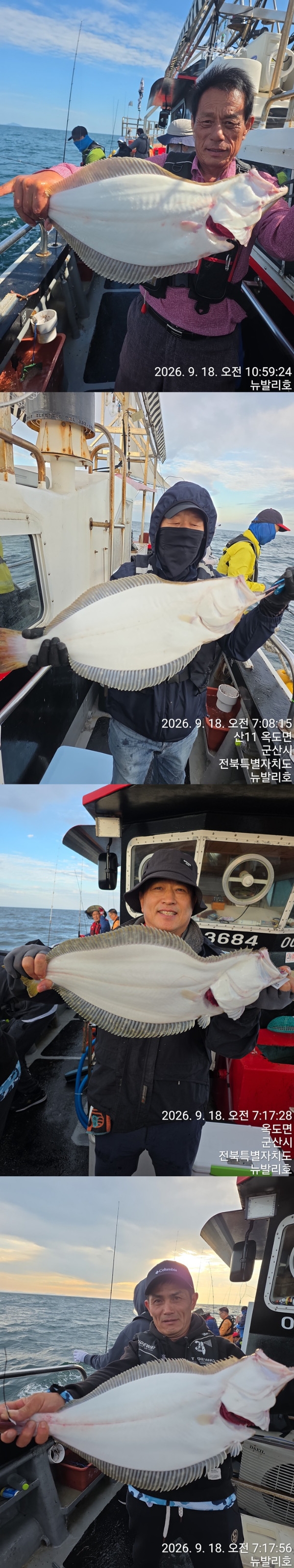 9월 19일 군산 갑오징어 선상낚시 조황 현장 사진 4
