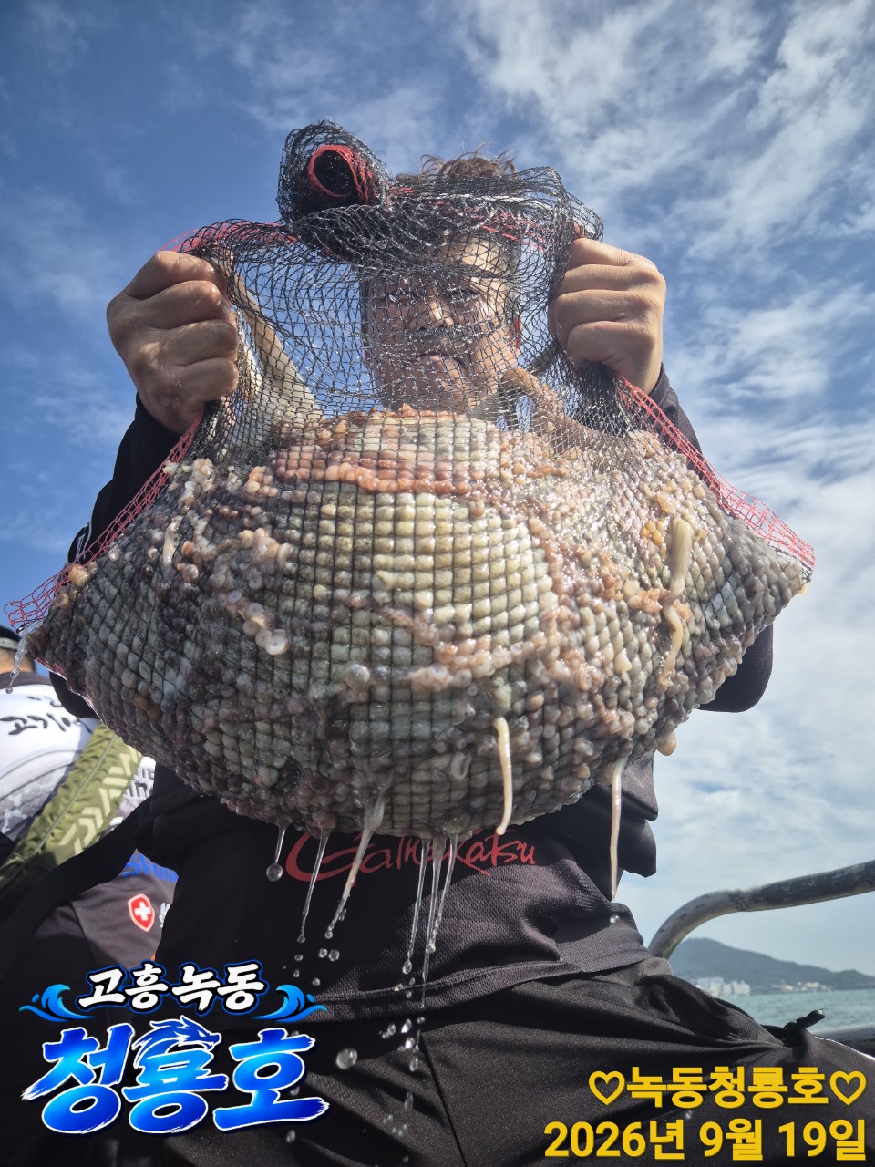9월 19일 문어 선상낚시 조황 현장 사진 8
