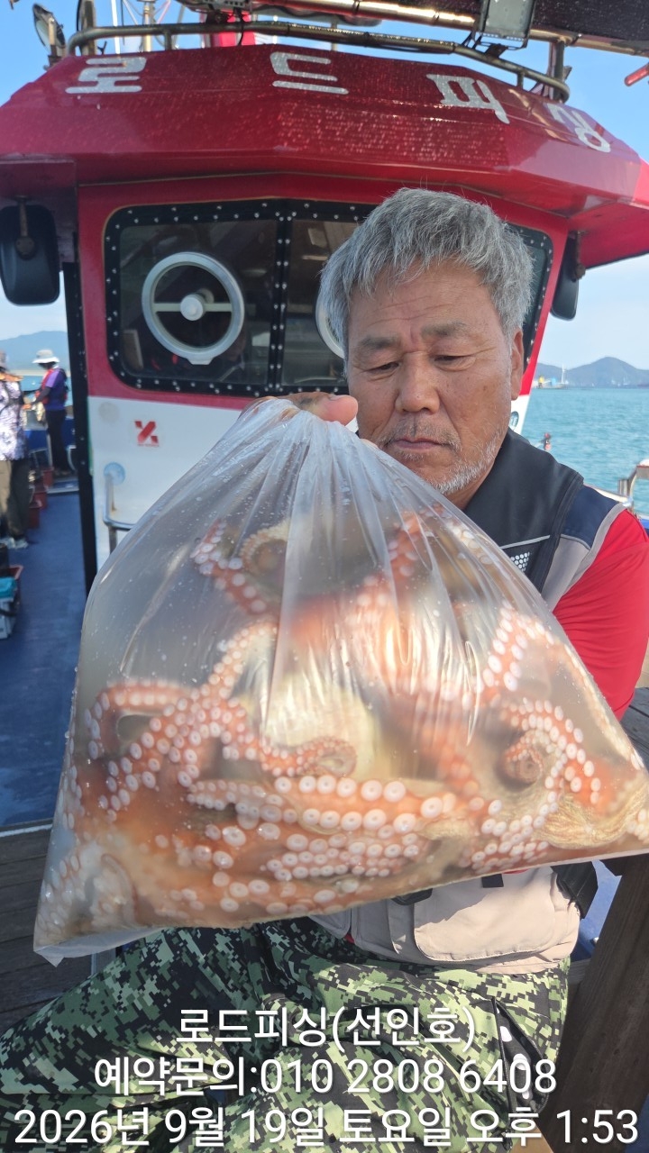 9월 19일 고성 문어 선상낚시 조황 현장 사진 6