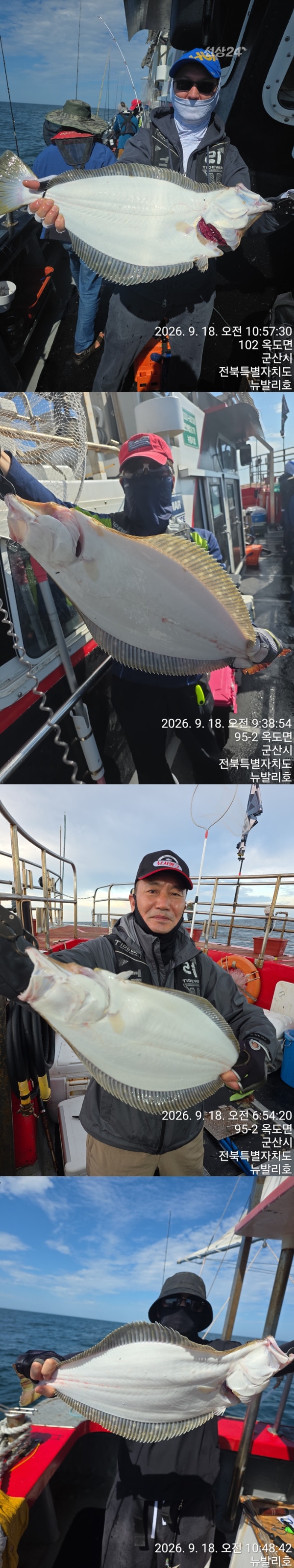 9월 19일 군산 갑오징어 선상낚시 조황 현장 사진 3