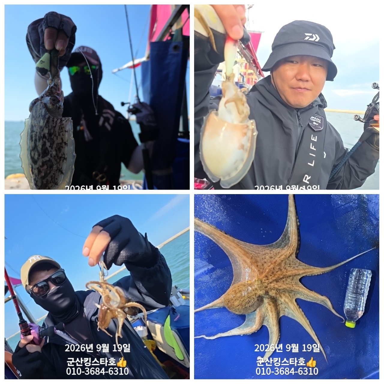 9월 19일 군산 주꾸미 선상낚시 조황 현장 사진 4