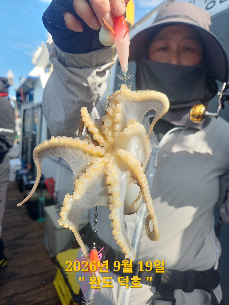 9월 19일 완도 주꾸미 선상낚시 조황 현장 사진 9